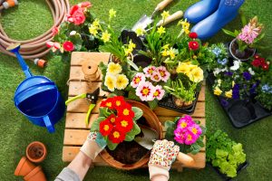 Urban Gardening